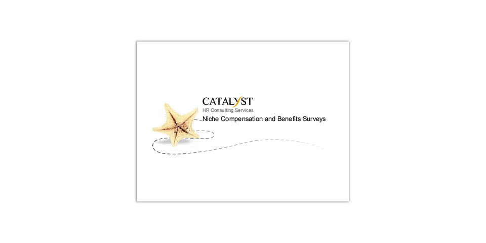 Catalyst Niche Compensations and Benefits Surveys